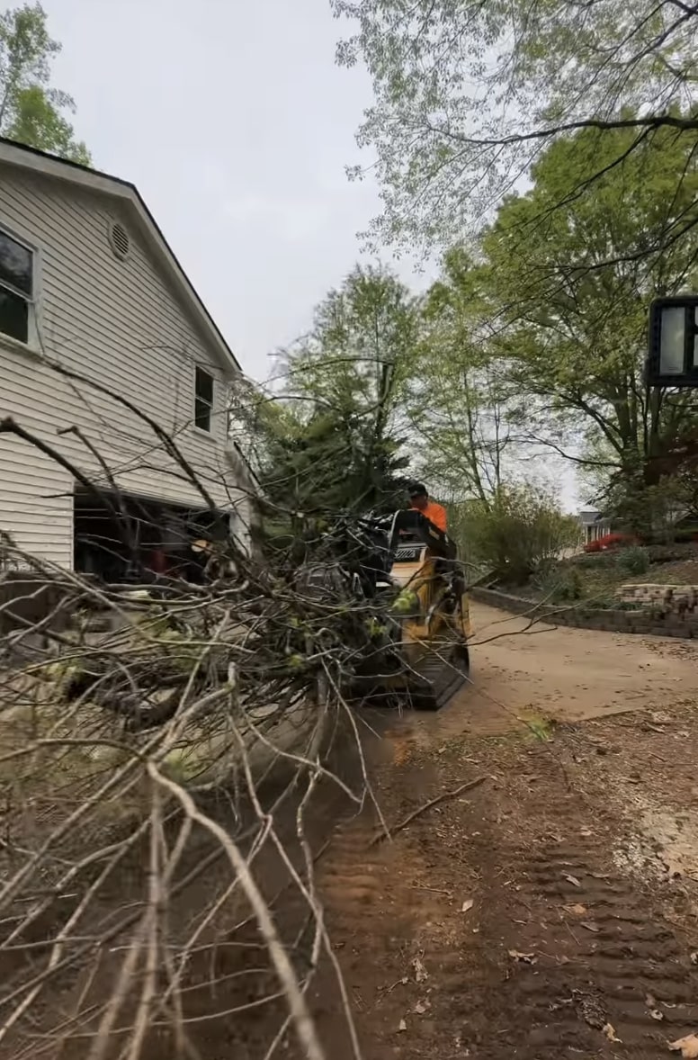 Storm damage to trees and property after severe weather in Celina, TX